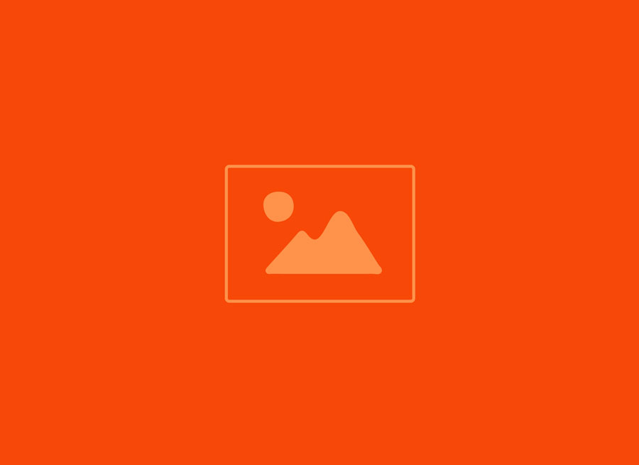 Alt Text for Image