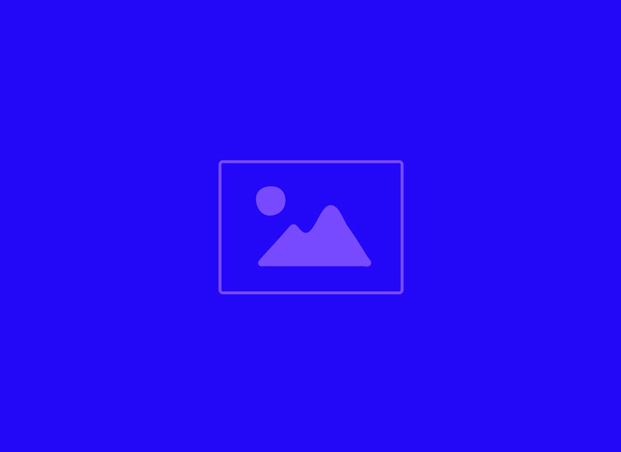Alt Text for Image