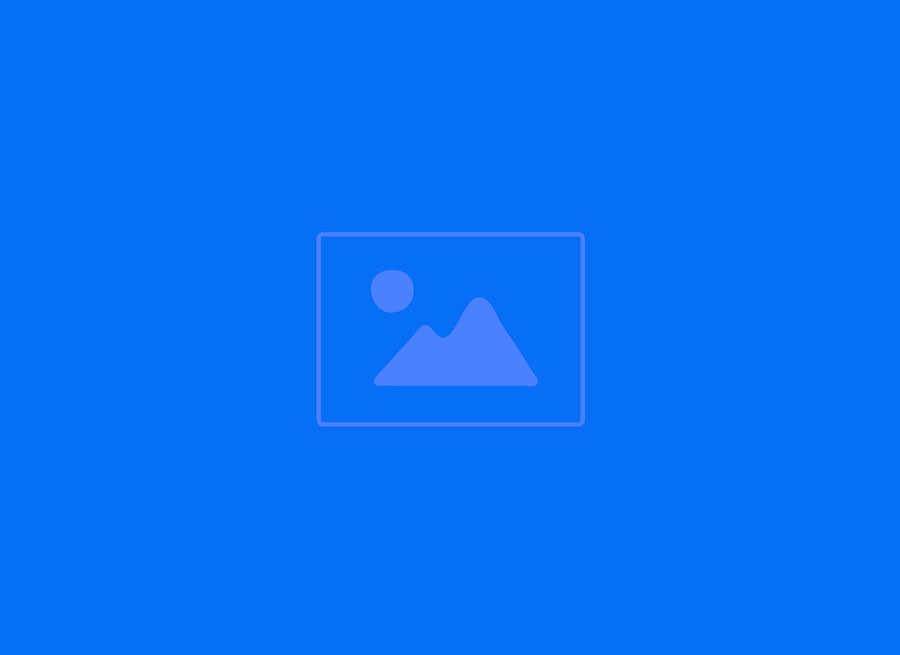 Alt Text for Image