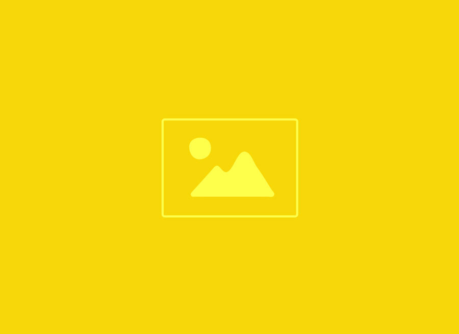 Alt Text for Image