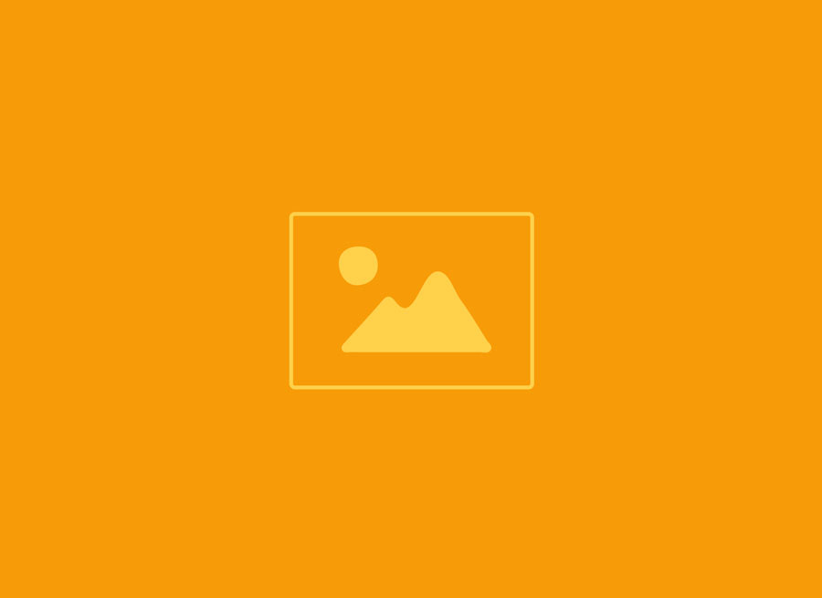 Alt Text for Image