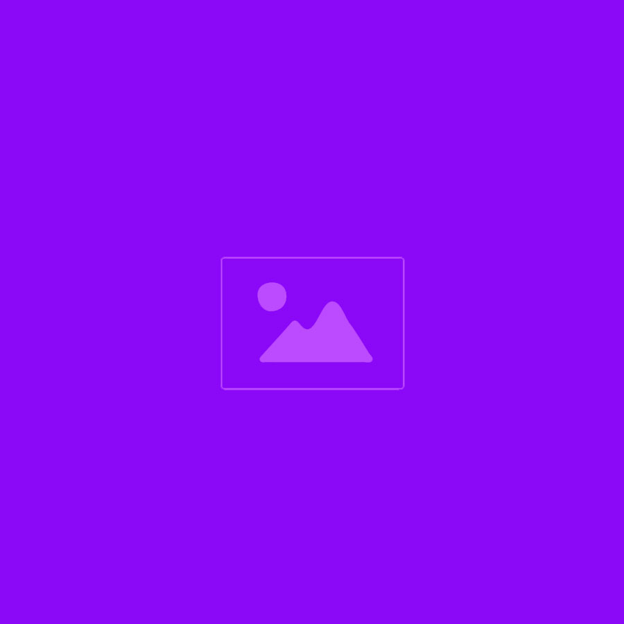 Alt Text for Image