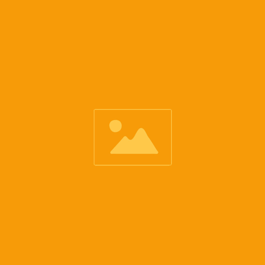 Alt Text for Image